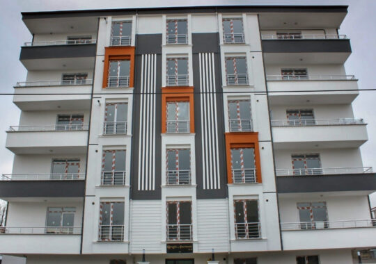 Ceviz Ağacı